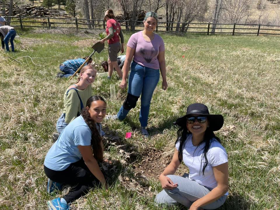 Tree Planting 3